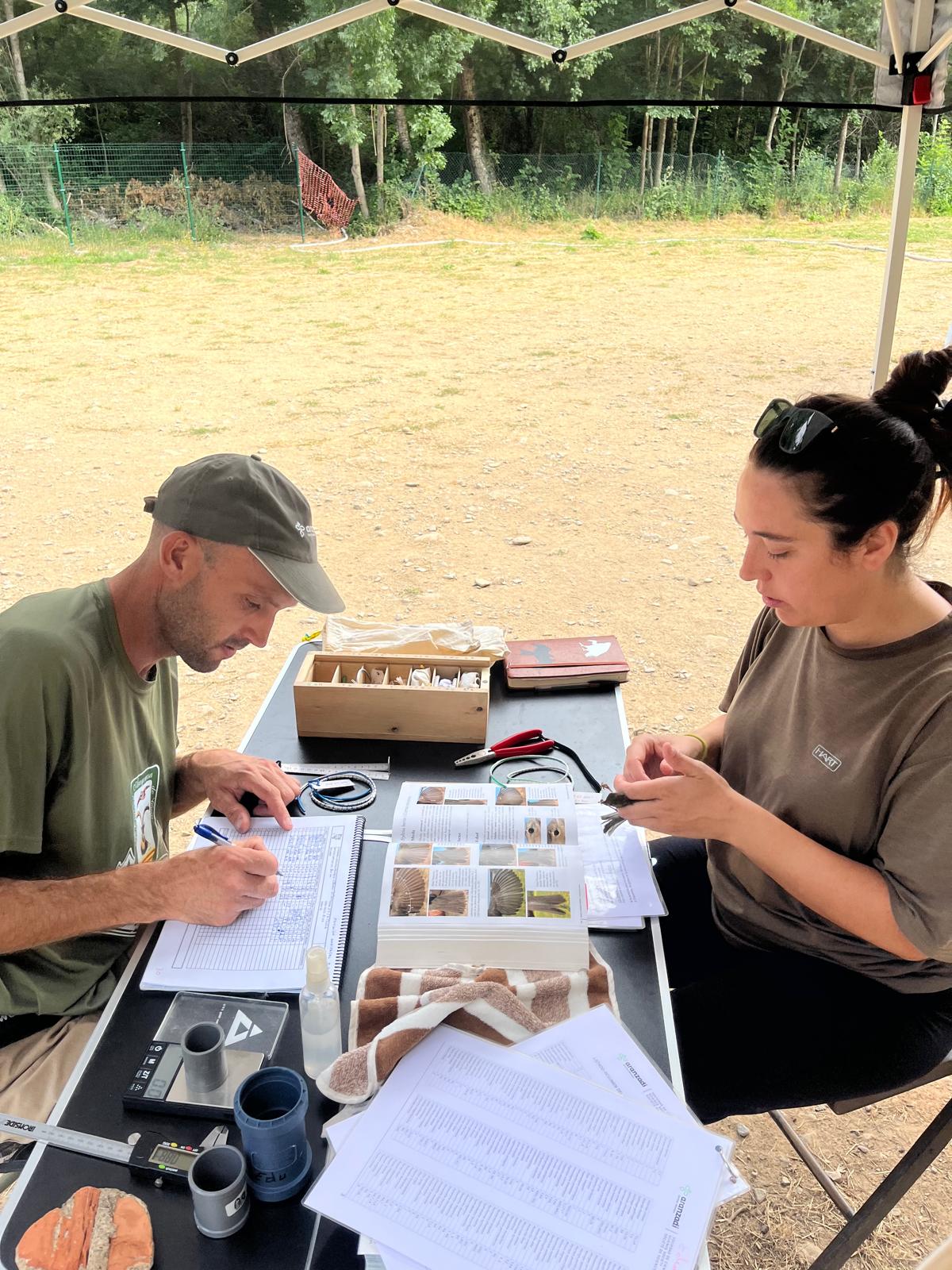 Anillamiento de aves y taller de elaboración de huellas